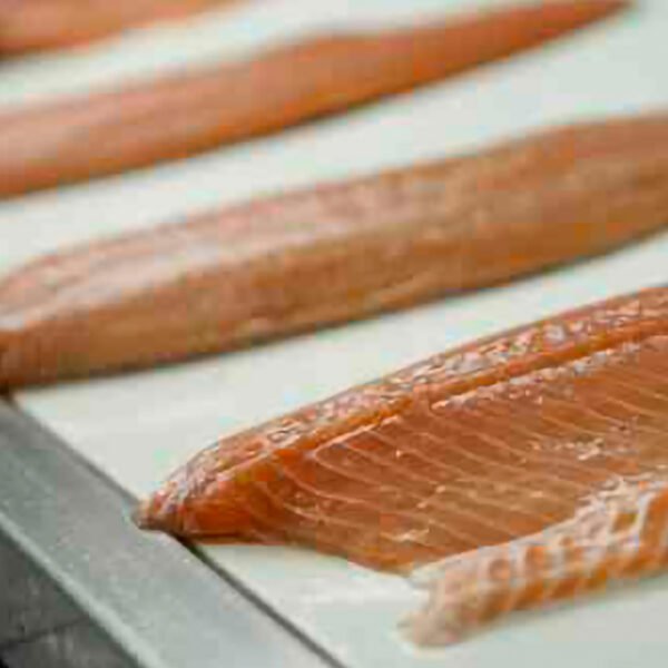 salmon_color